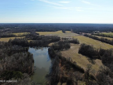 120+/- acres located at the northeast corner of Highway 301 and - photo 15