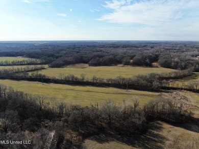 120+/- acres located at the northeast corner of Highway 301 and - photo 16