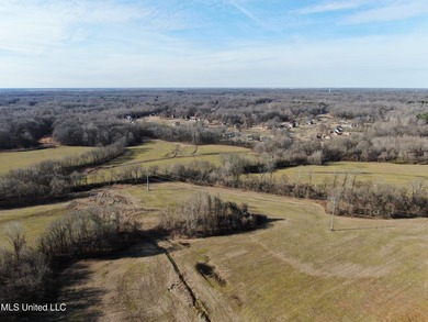 120+/- acres located at the northeast corner of Highway 301 and - photo 17