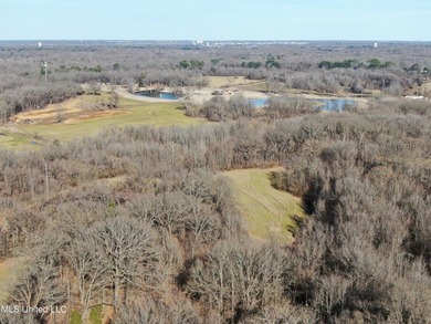 120+/- acres located at the northeast corner of Highway 301 and - photo 18