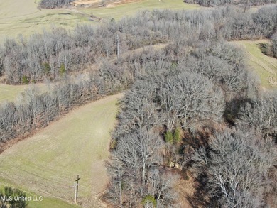 120+/- acres located at the northeast corner of Highway 301 and - photo 19