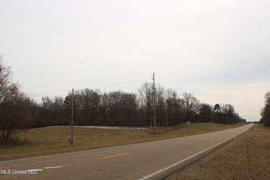 120+/- acres located at the northeast corner of Highway 301 and - photo 20