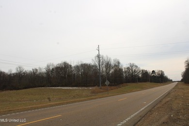 120+/- acres located at the northeast corner of Highway 301 and - photo 21