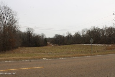 120+/- acres located at the northeast corner of Highway 301 and - photo 22