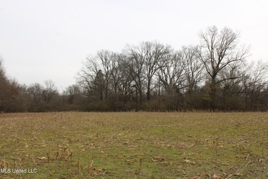 120+/- acres located at the northeast corner of Highway 301 and - photo 23