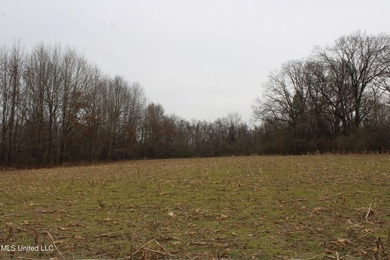 120+/- acres located at the northeast corner of Highway 301 and - photo 24