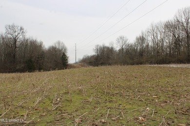 120+/- acres located at the northeast corner of Highway 301 and - photo 25
