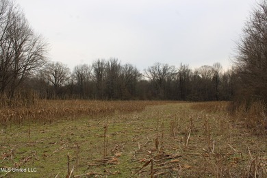 120+/- acres located at the northeast corner of Highway 301 and - photo 26