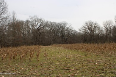 120+/- acres located at the northeast corner of Highway 301 and - photo 27