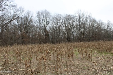 120+/- acres located at the northeast corner of Highway 301 and - photo 28