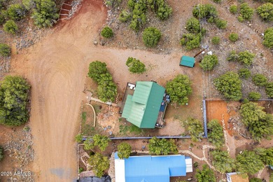Escape to the cool pines of Show Low and experience the perfect - photo 29