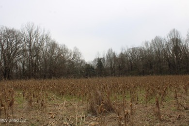 120+/- acres located at the northeast corner of Highway 301 and - photo 29