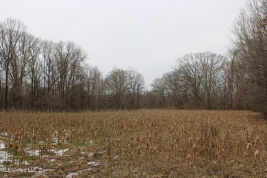 120+/- acres located at the northeast corner of Highway 301 and - photo 30