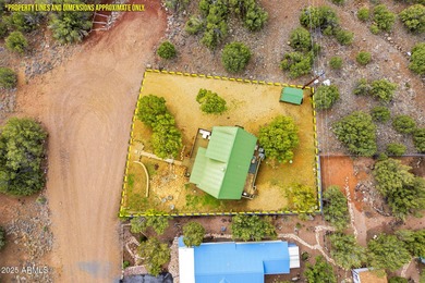 Escape to the cool pines of Show Low and experience the perfect - photo 31