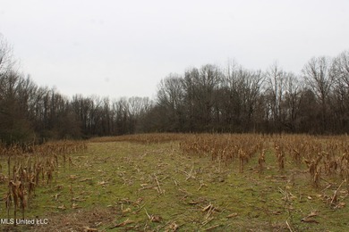 120+/- acres located at the northeast corner of Highway 301 and - photo 31