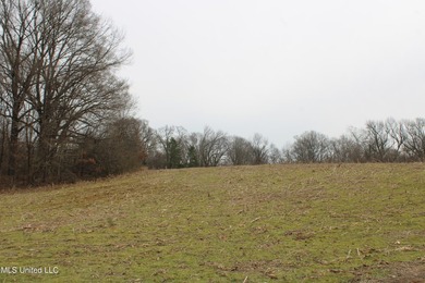 120+/- acres located at the northeast corner of Highway 301 and - photo 32