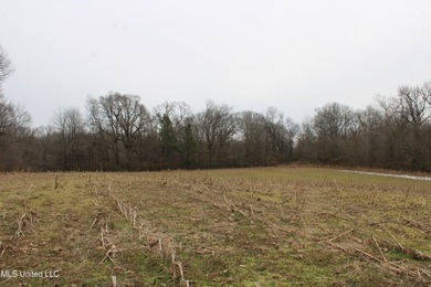 120+/- acres located at the northeast corner of Highway 301 and - photo 33