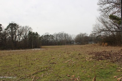 120+/- acres located at the northeast corner of Highway 301 and - photo 34
