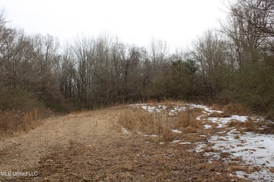 120+/- acres located at the northeast corner of Highway 301 and - photo 35
