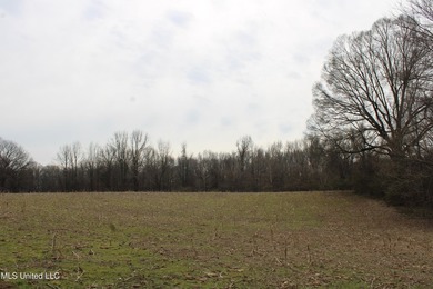 120+/- acres located at the northeast corner of Highway 301 and - photo 36