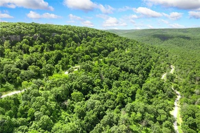 Attention Investors and Developers: Round Mountain Estates is - photo 7