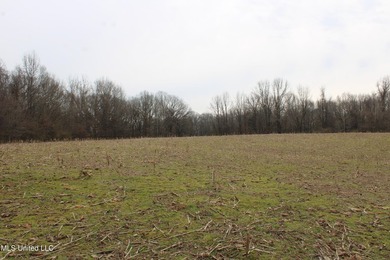 120+/- acres located at the northeast corner of Highway 301 and - photo 37