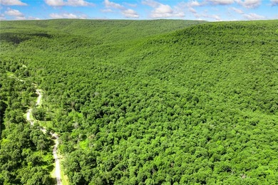 Attention Investors and Developers: Round Mountain Estates is - photo 8