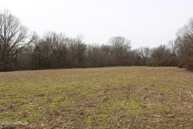 120+/- acres located at the northeast corner of Highway 301 and - photo 38