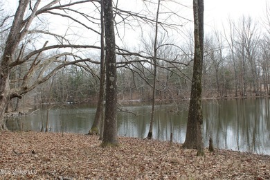 120+/- acres located at the northeast corner of Highway 301 and - photo 39