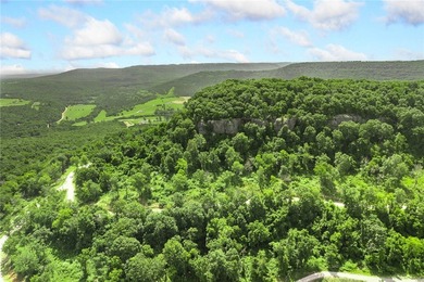 Attention Investors and Developers: Round Mountain Estates is - photo 10