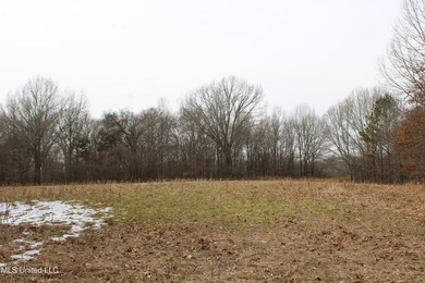 120+/- acres located at the northeast corner of Highway 301 and - photo 40