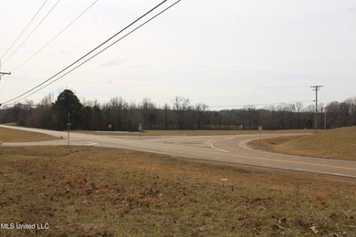 120+/- acres located at the northeast corner of Highway 301 and - photo 41