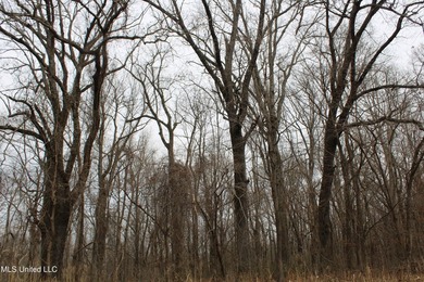 120+/- acres located at the northeast corner of Highway 301 and - photo 42