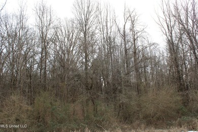 120+/- acres located at the northeast corner of Highway 301 and - photo 43