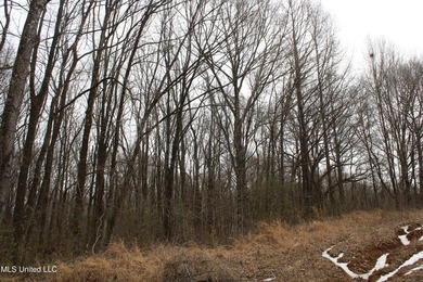 120+/- acres located at the northeast corner of Highway 301 and - photo 44
