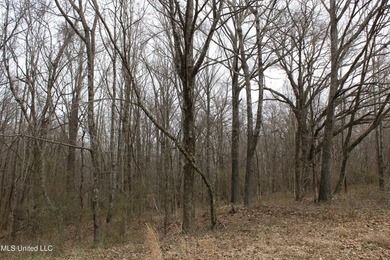 120+/- acres located at the northeast corner of Highway 301 and - photo 45