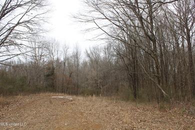 120+/- acres located at the northeast corner of Highway 301 and - photo 46