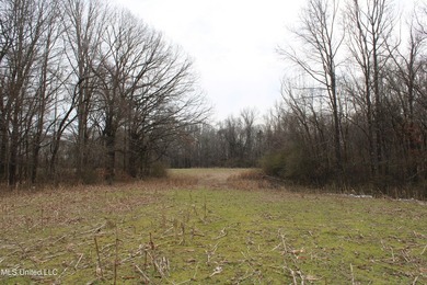 120+/- acres located at the northeast corner of Highway 301 and - photo 47