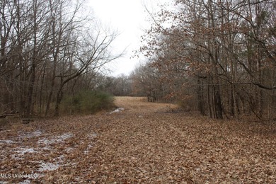 120+/- acres located at the northeast corner of Highway 301 and - photo 48