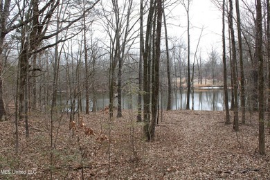 120+/- acres located at the northeast corner of Highway 301 and - photo 49