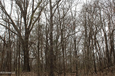 120+/- acres located at the northeast corner of Highway 301 and - photo 50