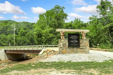 Attention Investors and Developers: Round Mountain Estates is - photo 1