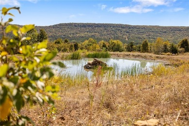 Attention Investors and Developers: Round Mountain Estates is - photo 4