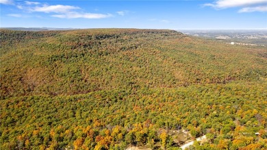 Attention Investors and Developers: Round Mountain Estates is - photo 5