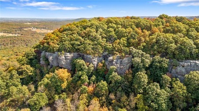 Attention Investors and Developers: Round Mountain Estates is - photo 9