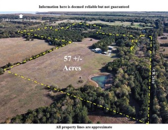 (private lake, pond, creek) Acreage For Sale in Telephone Texas