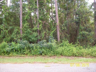 Build your coastal getaway in Bay Haven, a desirable waterfront - photo 3