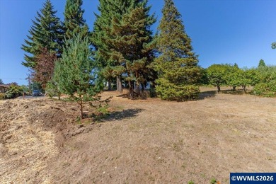 West Salem View Lot! This large lot is perfectly situated to - photo 13