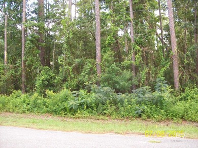 Build your coastal getaway in Bay Haven, a desirable waterfront - photo 4