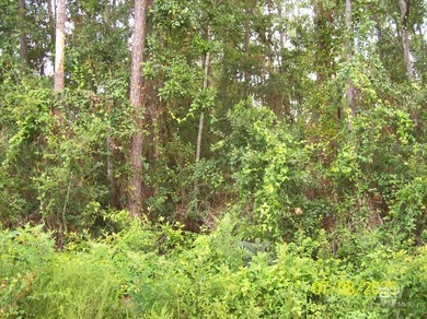 Build your coastal getaway in Bay Haven, a desirable waterfront - photo 5